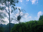 风景