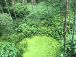 风景
