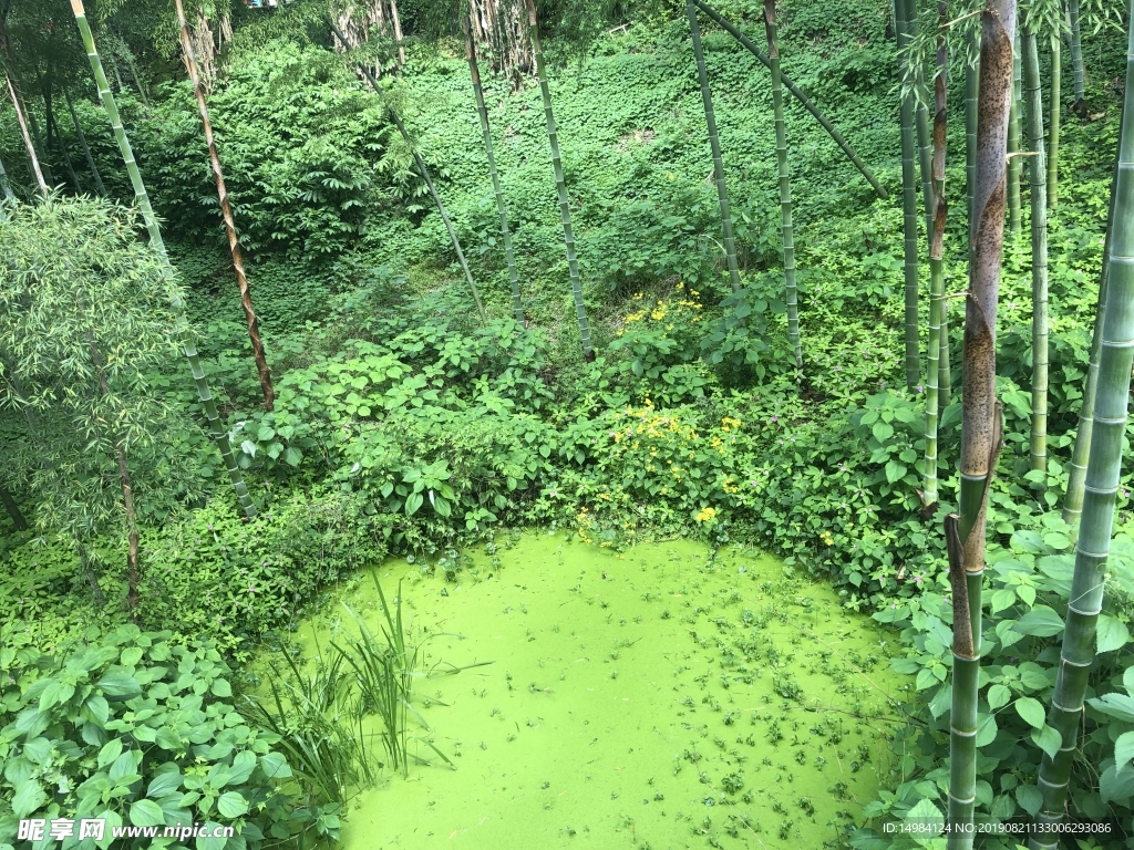 风景