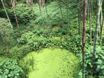 风景
