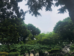 古风
