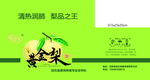 黄金梨