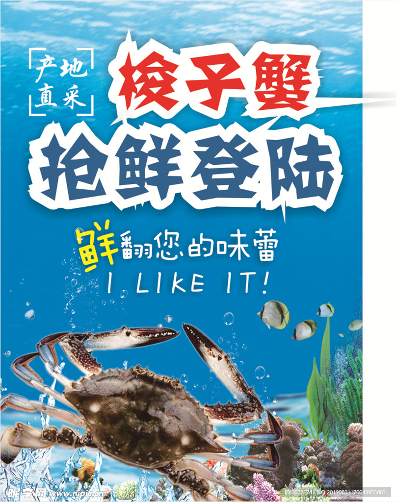 梭子蟹广告