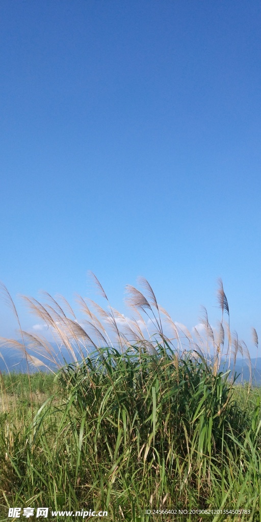 蓝天风景