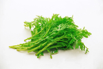 茼蒿