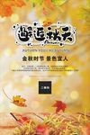 秋季宣传海报