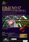 高档房地产海报
