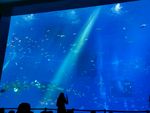 海洋馆游览图