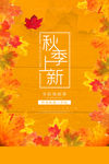 秋季上新