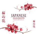 可爱的水彩画樱花日本背景