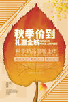 秋季上新