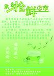 茶叶宣传