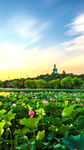 风景