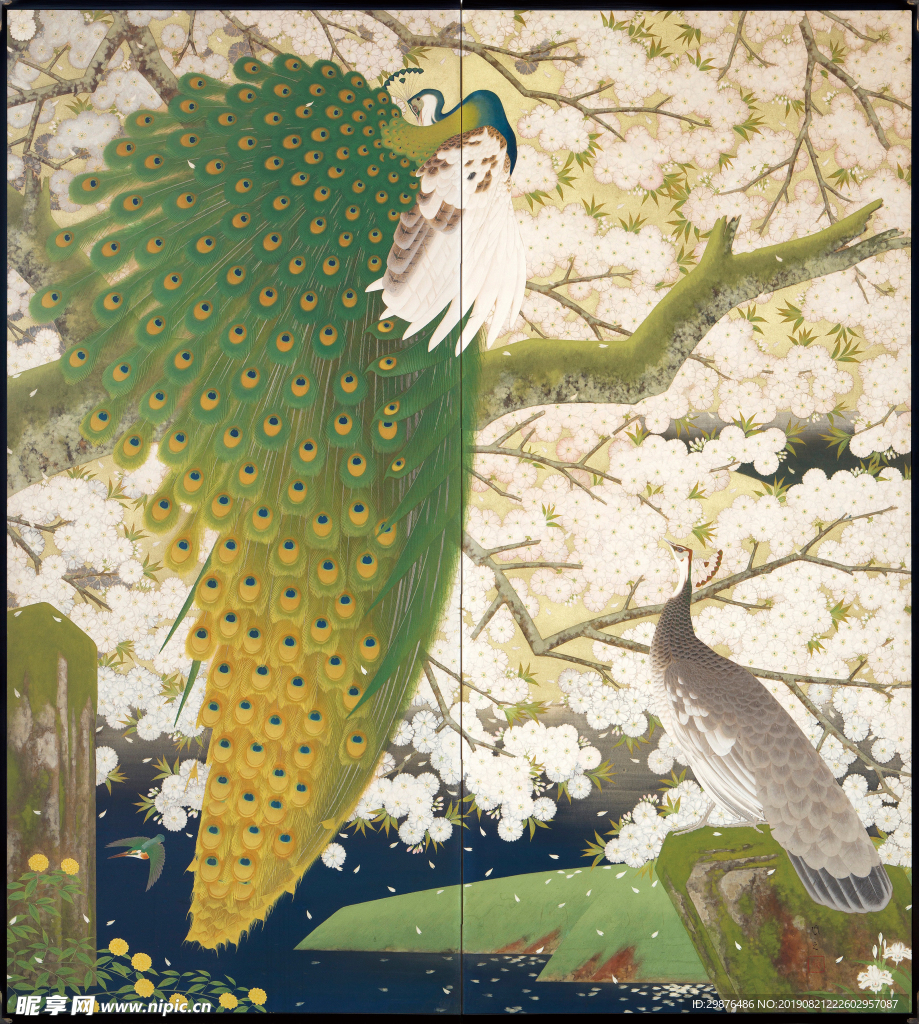 精美日本浮世绘二曲屏风孔雀花