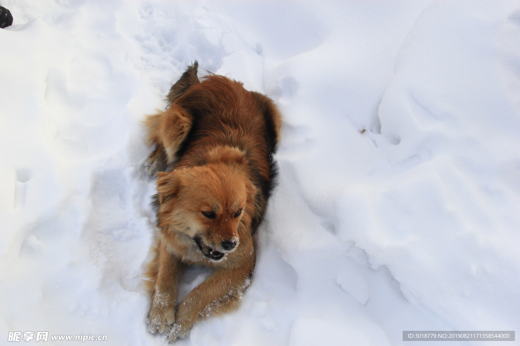 雪乡