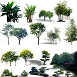 ps植物树种色块---树