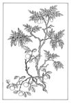 传统