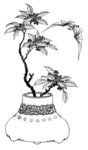 传统纹