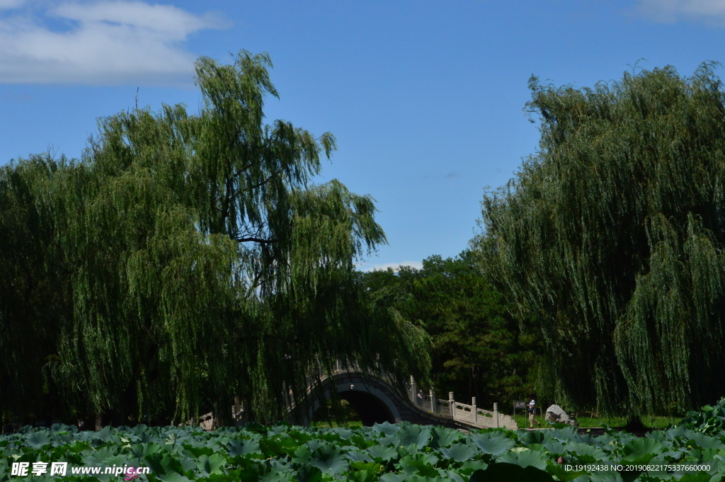 圆明园风景