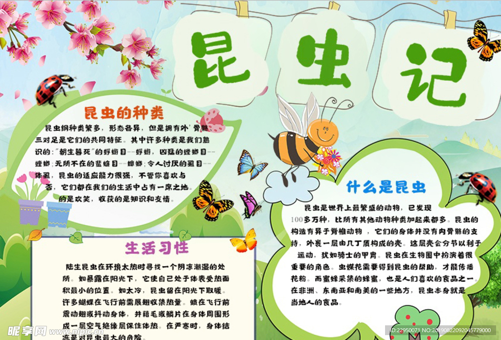 语文小报