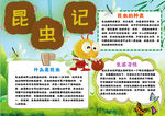 语言小报