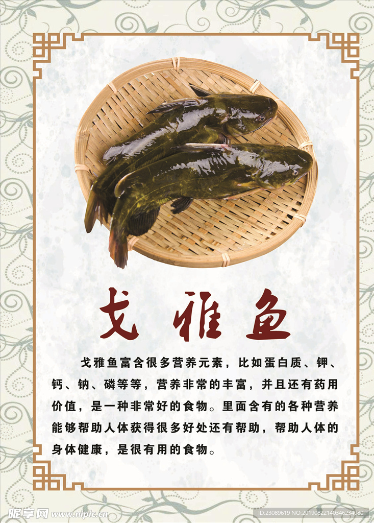戈雅鱼