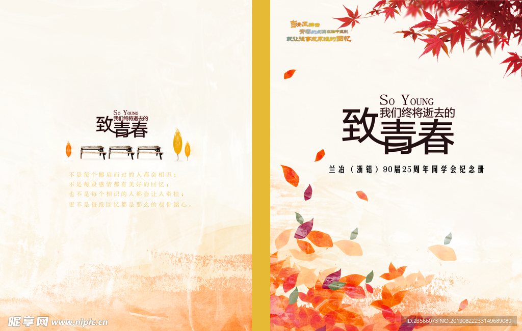 致青春宣传册海报