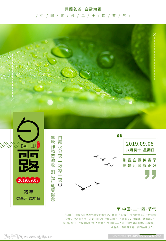 白露
