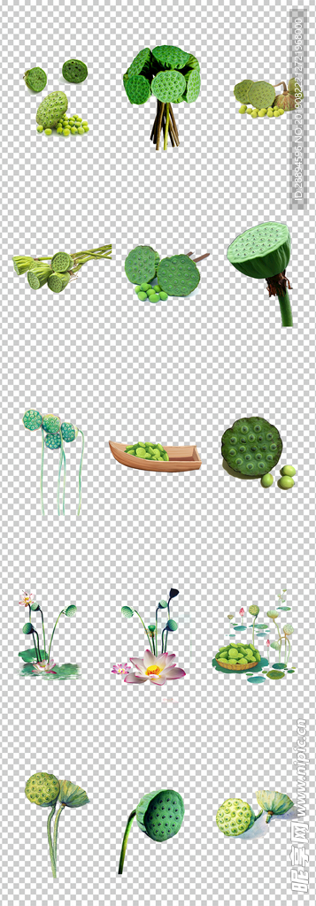 莲蓬莲子素材免抠PNG