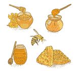 手绘蜂蜜加工