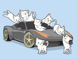 卡通猫