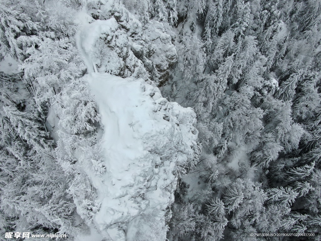 白雪森林冬季风景