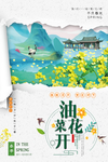 油菜花海报