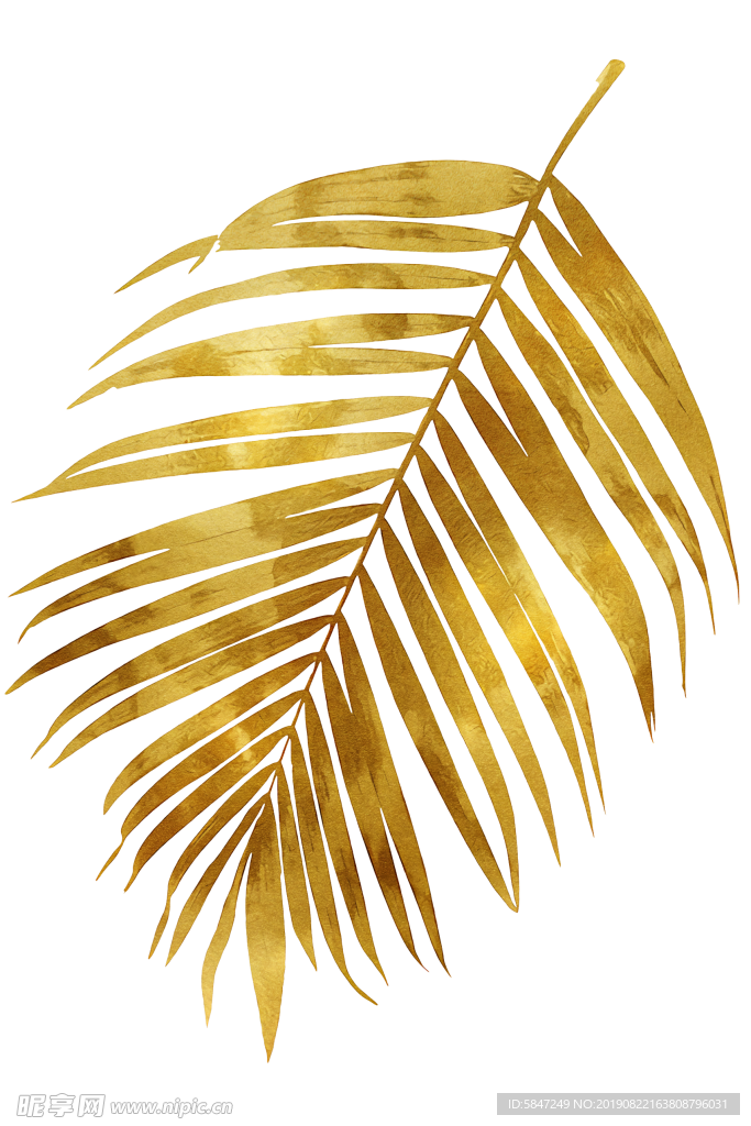 金色植物插画素材金色叶子