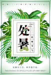 处暑