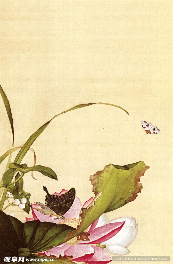 郎世宁花鸟