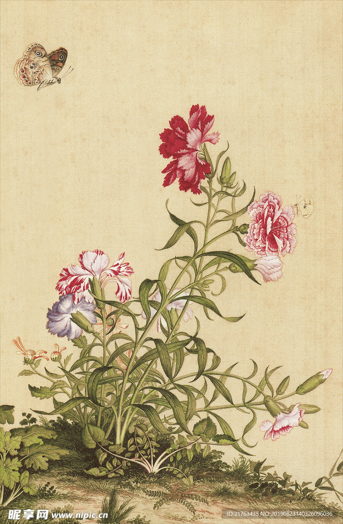 郎世宁花鸟