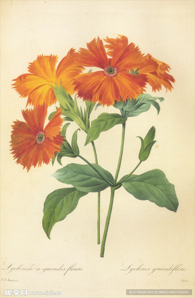 花