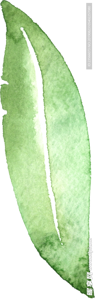 小清新水彩植物树叶