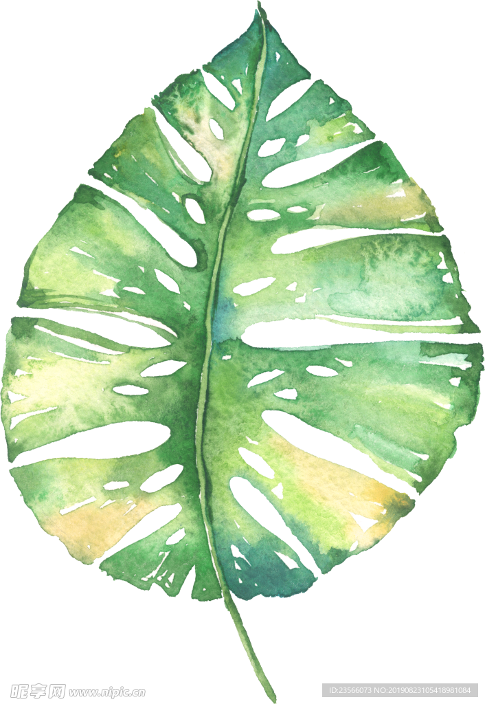 小清新水彩植物树叶