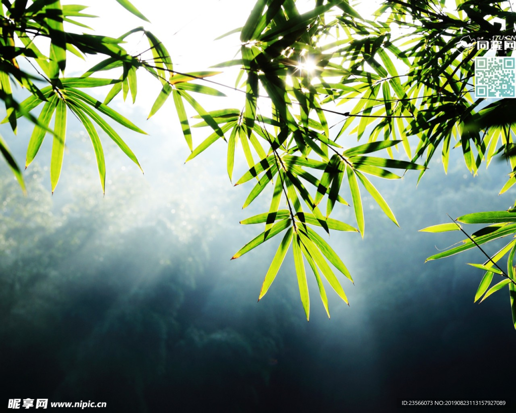 绿色植物背景图案