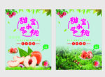 鲜甜水蜜桃