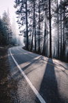 山林公路