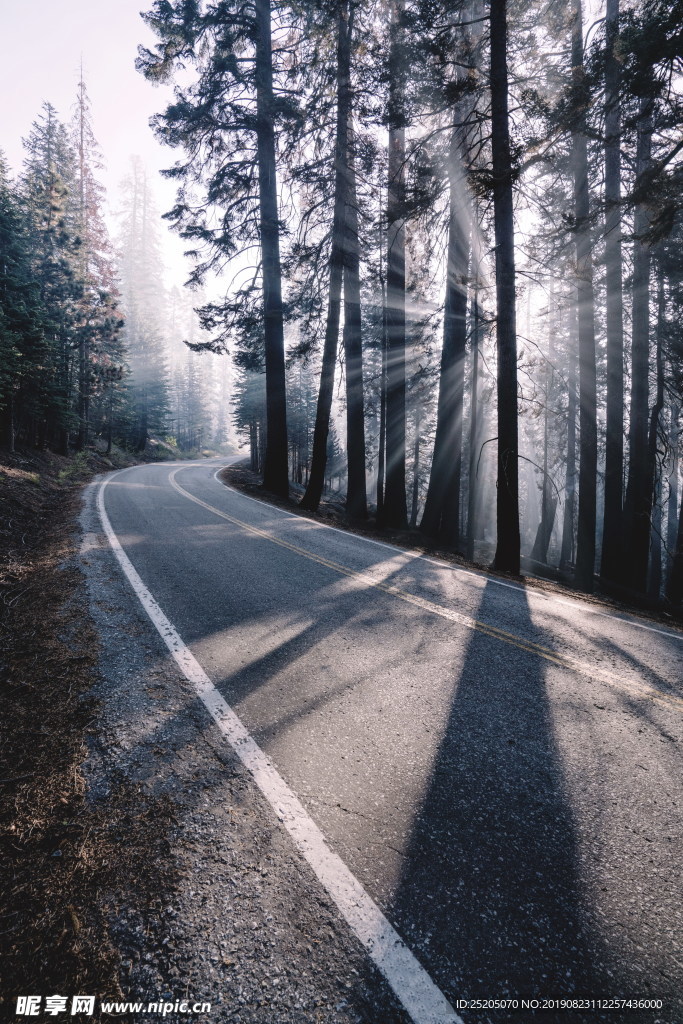 山林公路