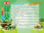 秋葵作用海报