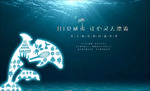 亲子夏日嘉年华 海豚