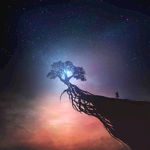 悬崖 星空