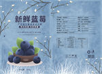新鲜蓝莓
