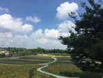 花海