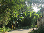 龙南村